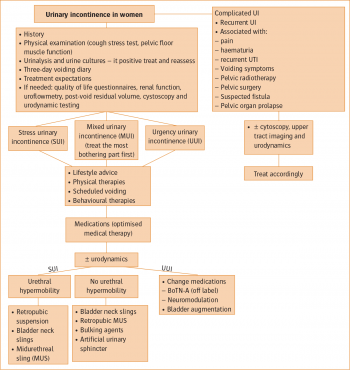 Figure 1: Management of urinary incontinence in women