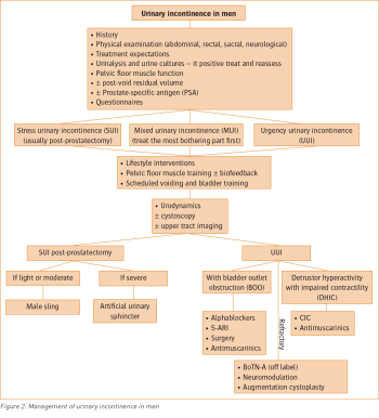 Figure 2: Management of urinary incontinence in men
