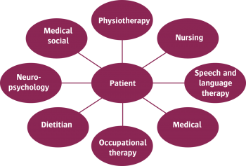 Figure 1: There is substantial evidence in support of the MDT for effective delivery of stroke rehabilitation