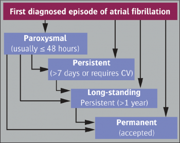 Figure 2: The 48 hours is of clinical importance. After this the chances of spontaneous cardioversion is low and anticoagulation must be considered (Source: Europace © 2010 Oxford University Press)