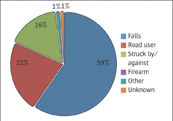 Cause of TBI – Philips report 2008