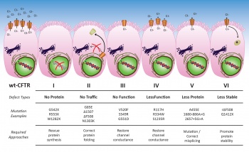 Figure 1: Overview for CFTR mutations and potential therapeutic approaches