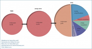 Figure 2. Actionable targets in squamous cell lung cancers